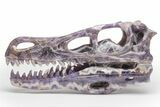 Polished Chevron Amethyst Dinosaur Crystal Skull - Ferocious! #218499-1